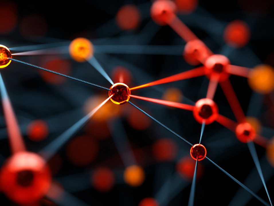 Survival Of The Fittest